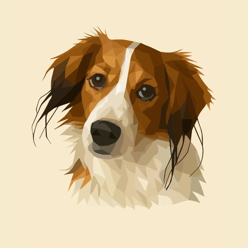 Kooikerhondje in polygon style