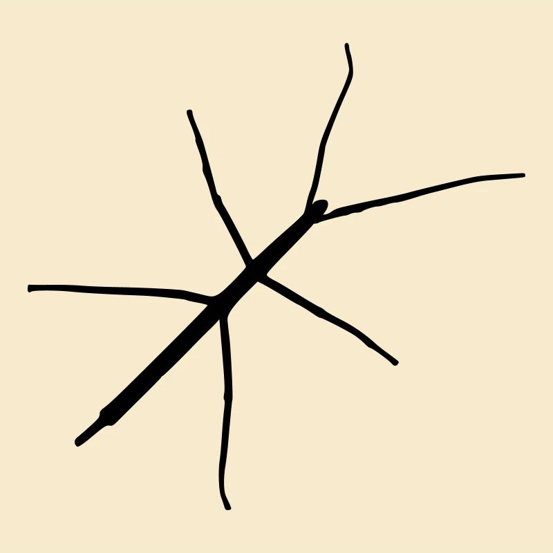 Stabheuschrecke