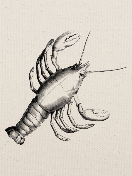 Lobster
