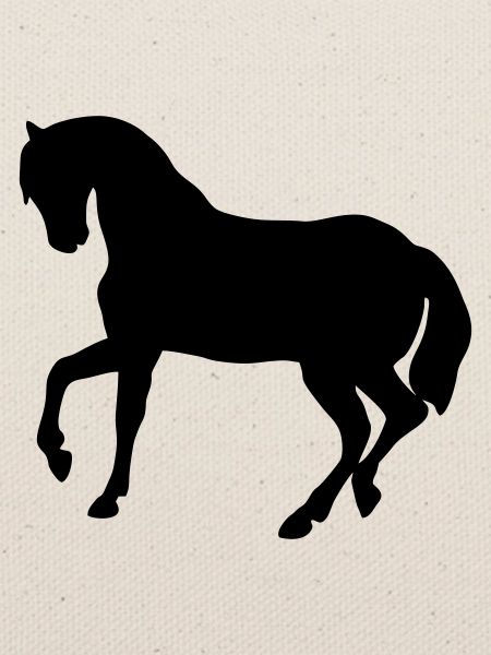 Süßes Pony