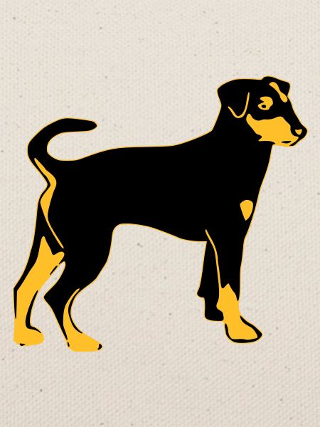 pinscher dog