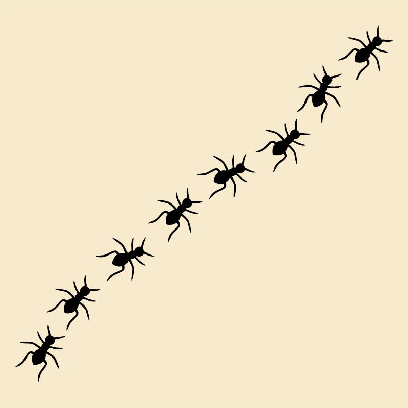 Ants