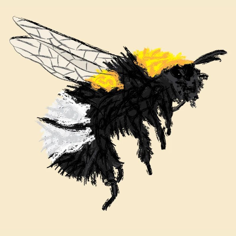 Hummel / Bumblebee Design I