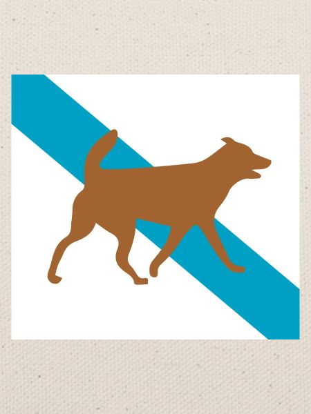 Dog Hund