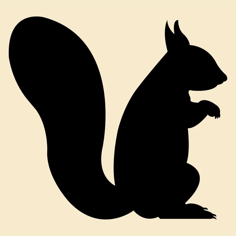écureuil