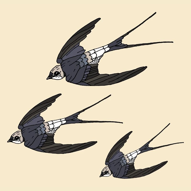 Vögel