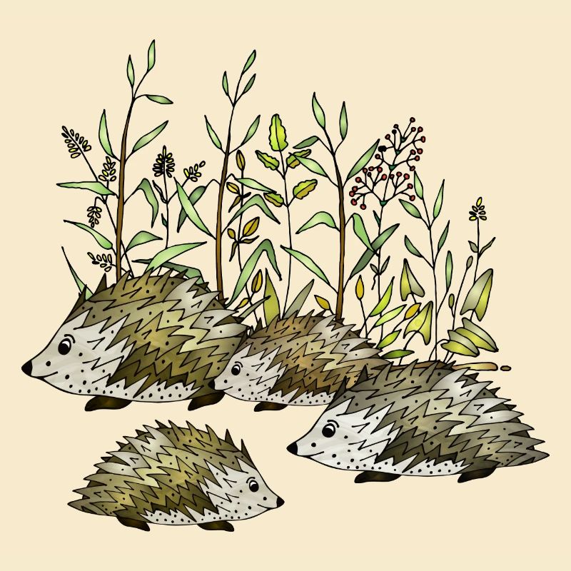 Hedgehogs