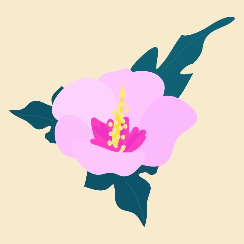 Fleur d’hibiscus 2
