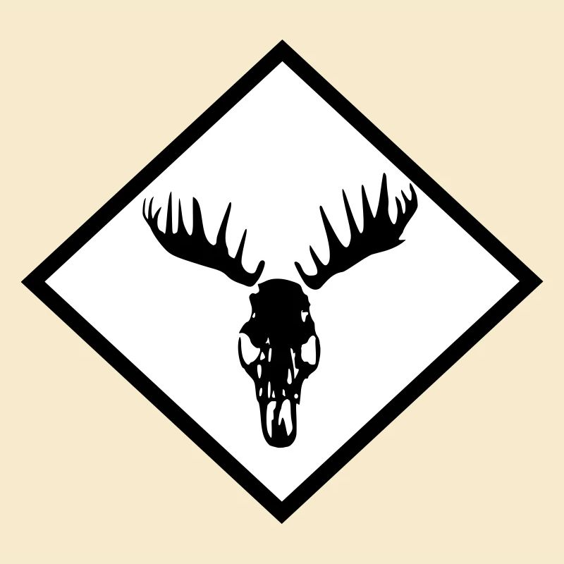 Elch-Schädel