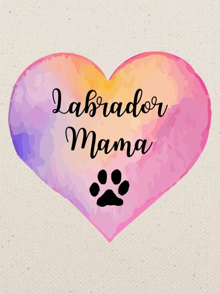Labrador Mama