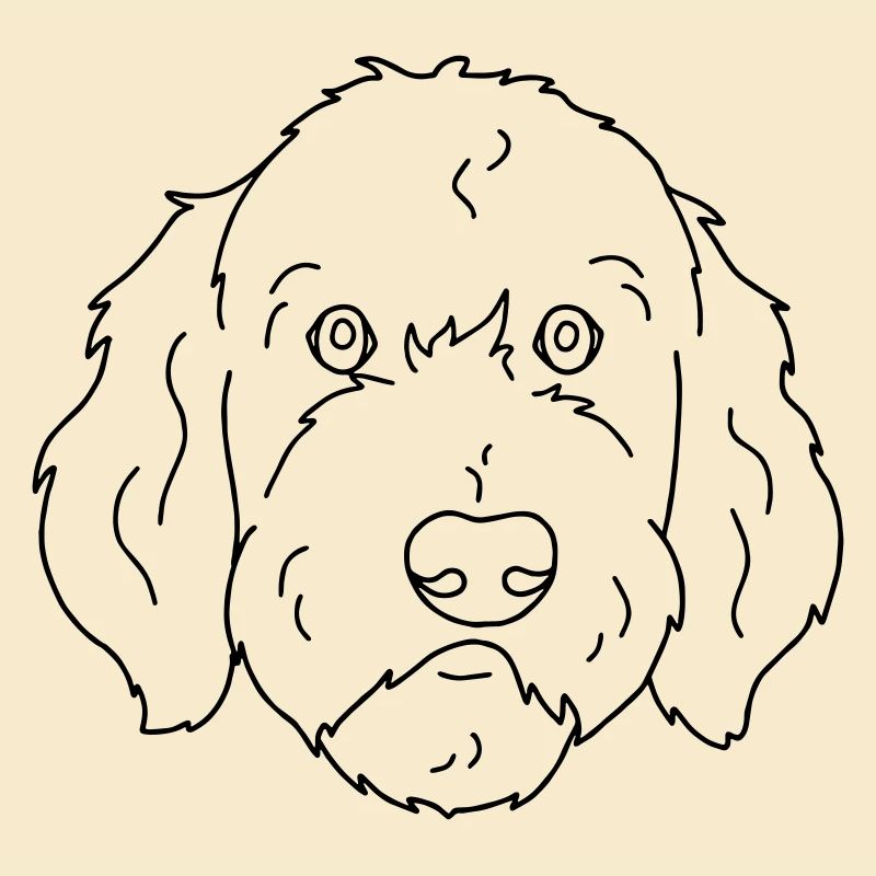 Hund