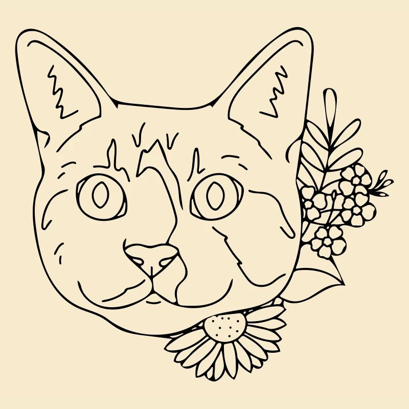 chat