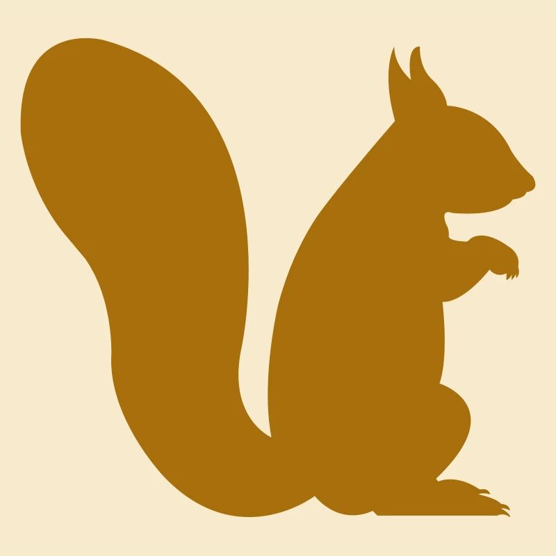 squirrel