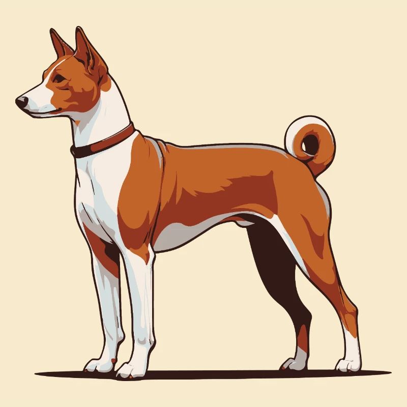Basenji