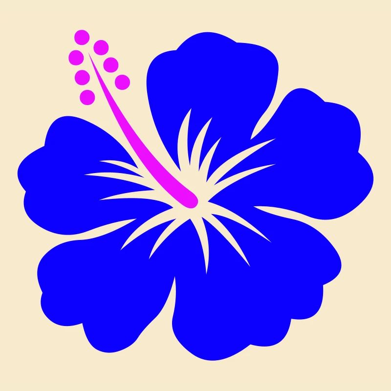Hibiskus