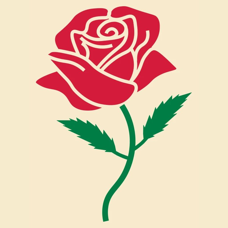 couleur rose