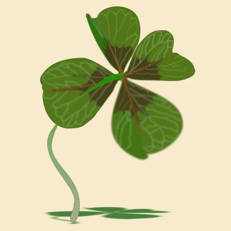 cloverleaf