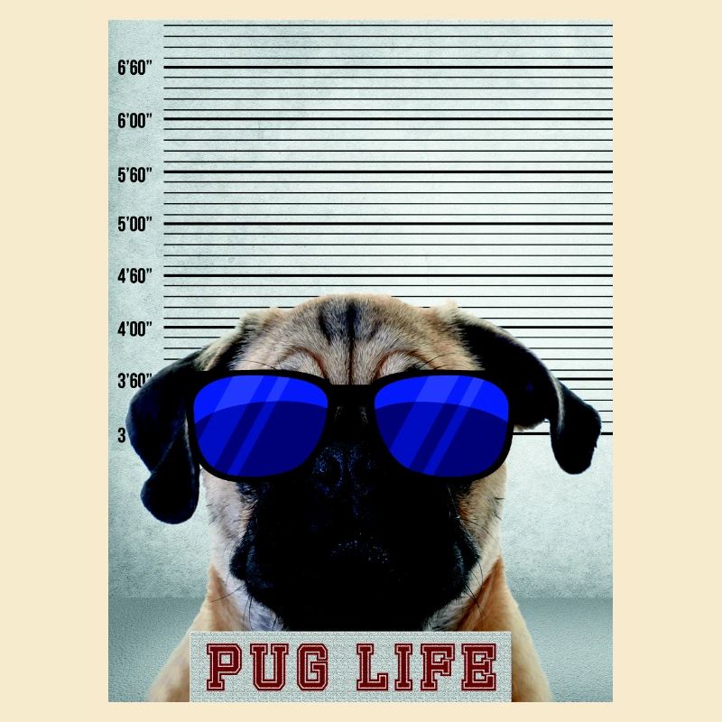 pug is life