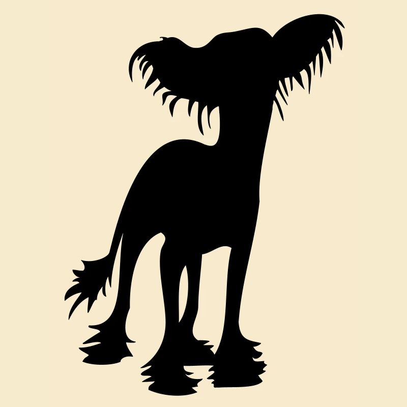 Chinese Crested