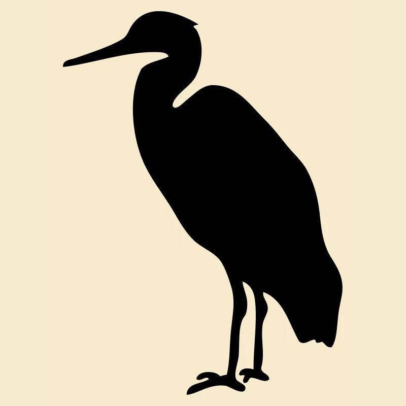 Storch Watvogel