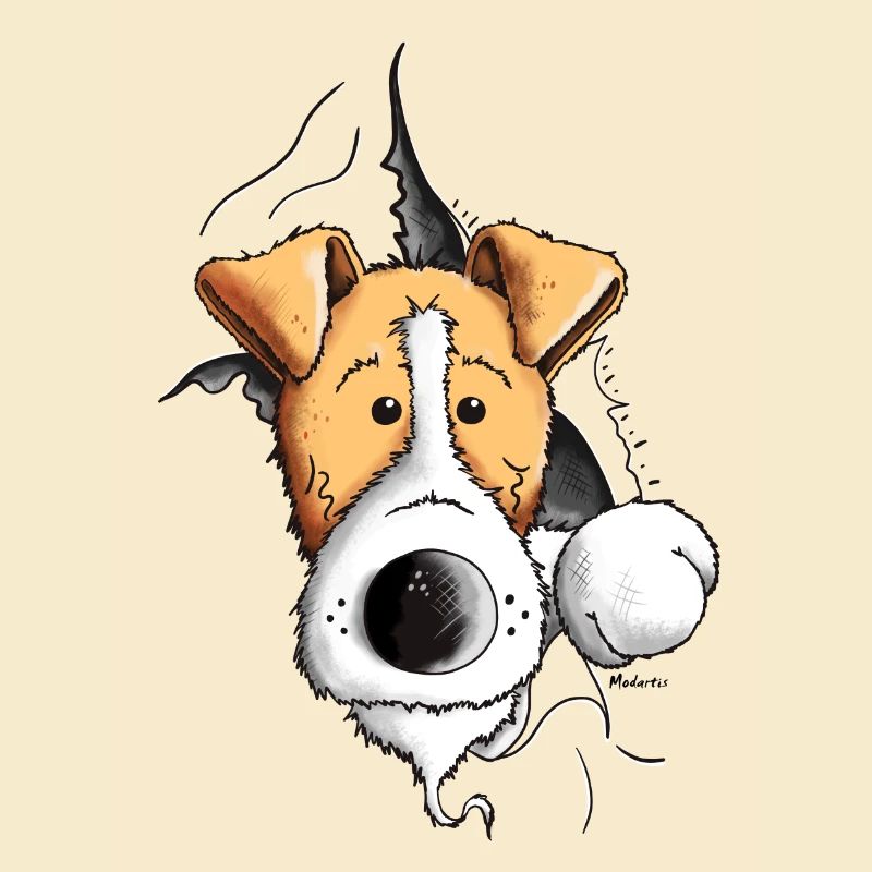 Finn der Foxterrier