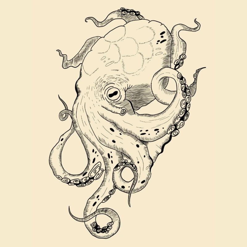 Krake