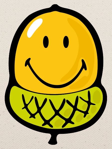 Smiley Acorn