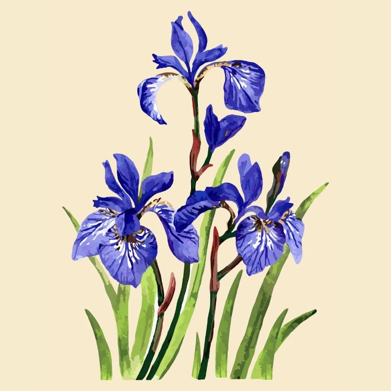 Blumen