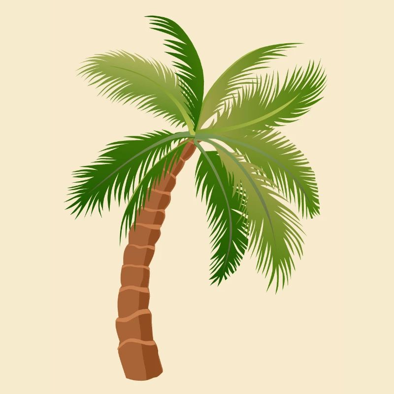 palm tree palm palms 1