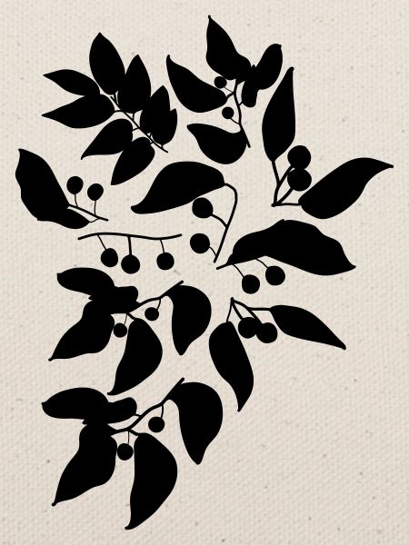 Beeren c1