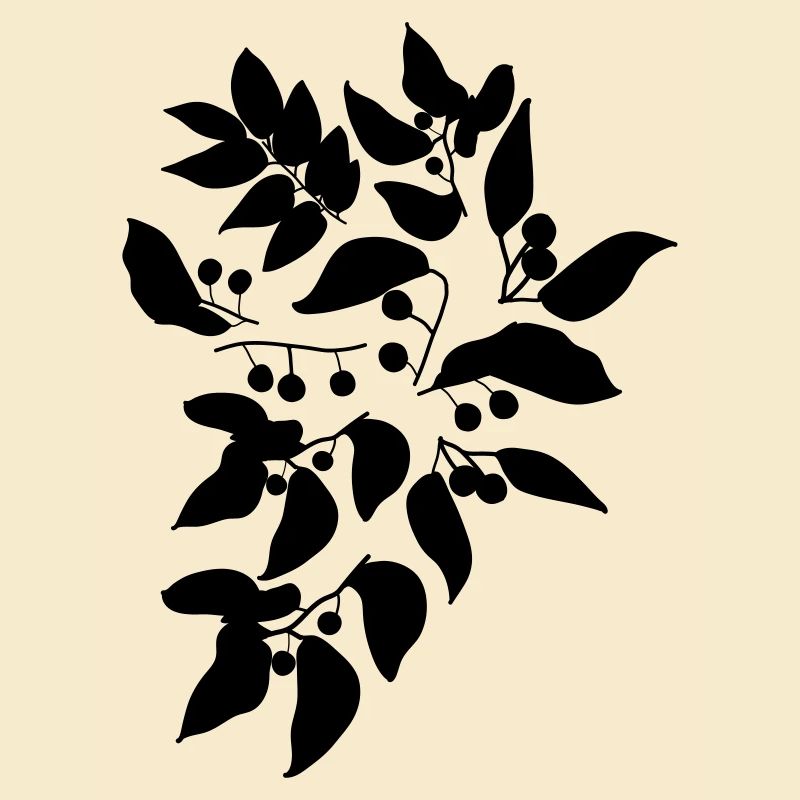 Beeren c1