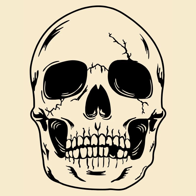 Skull head of skeleton