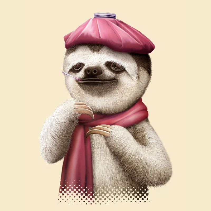 SLOTH FIEBER