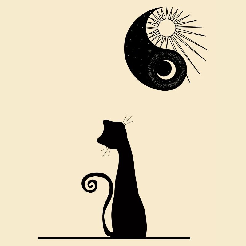 cat in front moon