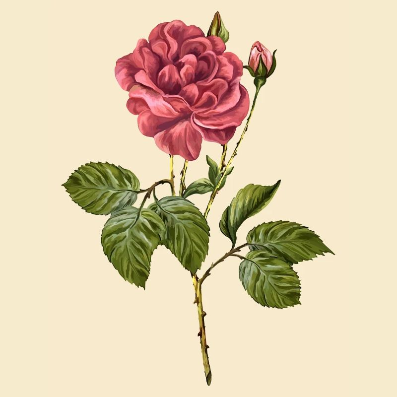 Blume