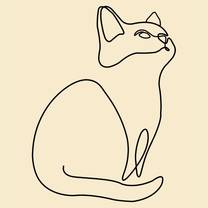 Kitten Cat Cat