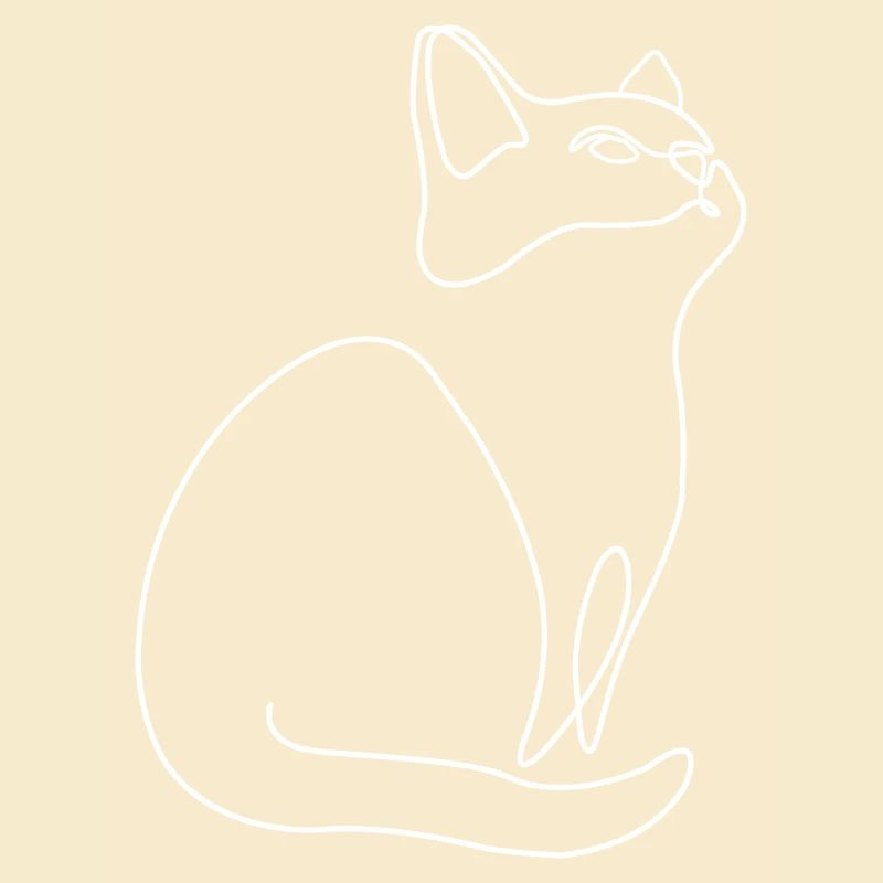 Chaton Chat Chat