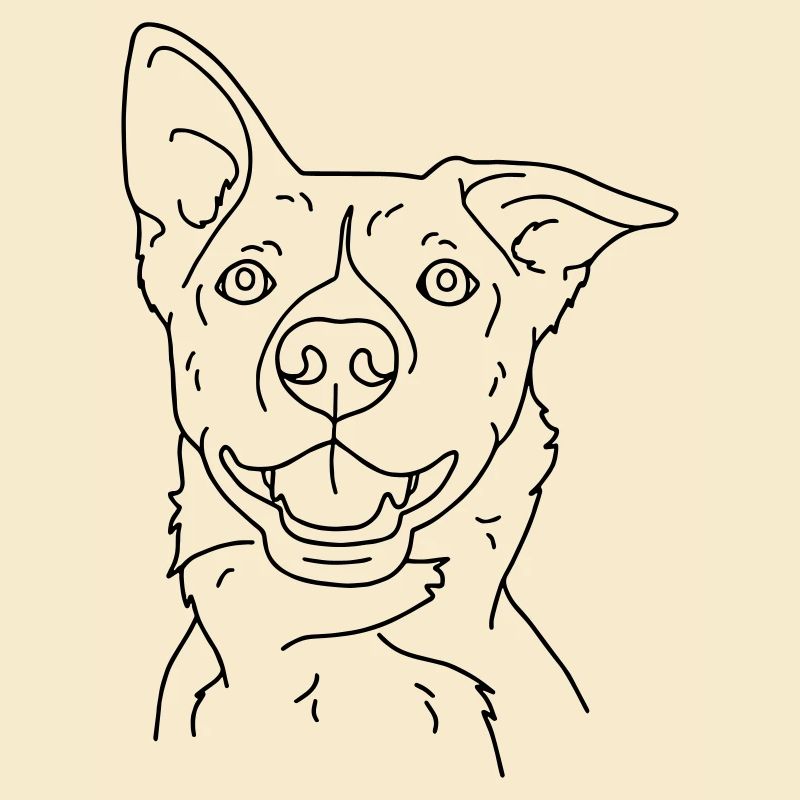 Hund
