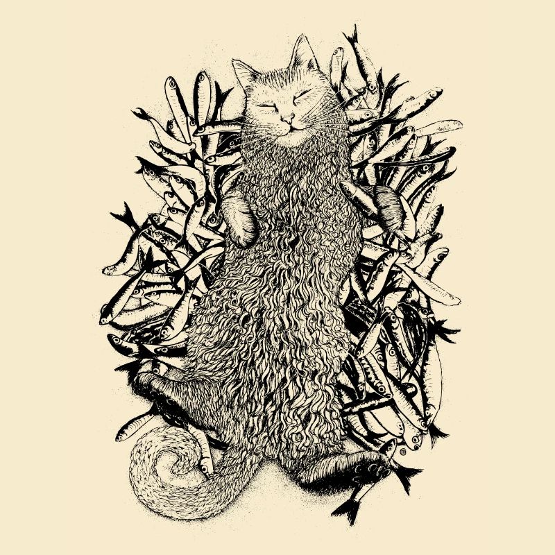 Katzenparadies