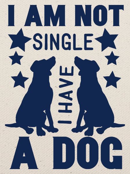 i am not single