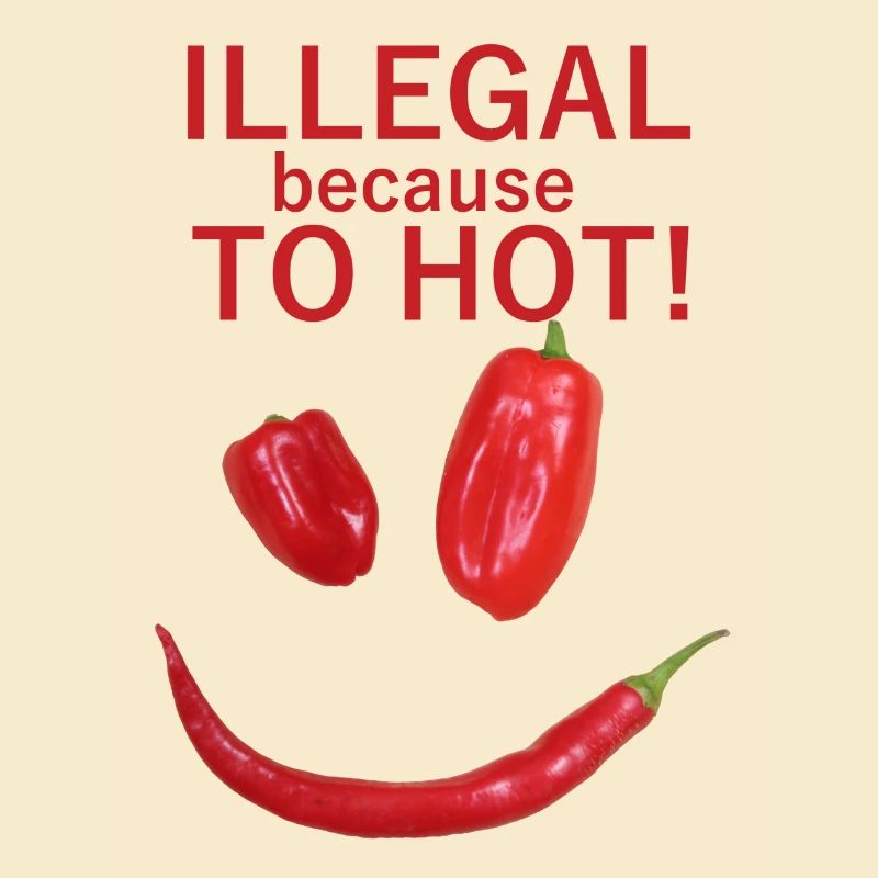 ILLÉGAL parce TROP CHAUD