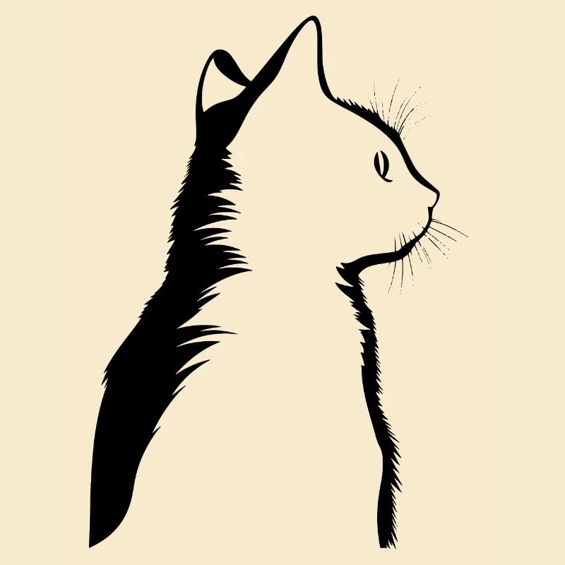 Chat, Motif De Chat