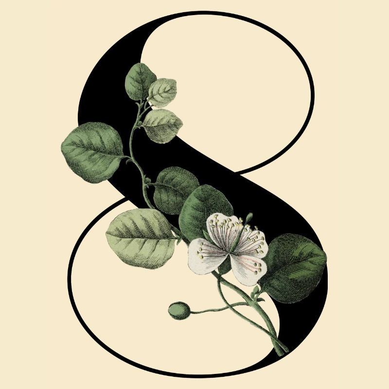 Nummer 8 Grüne Blumen - 8. Blumengeburtstag