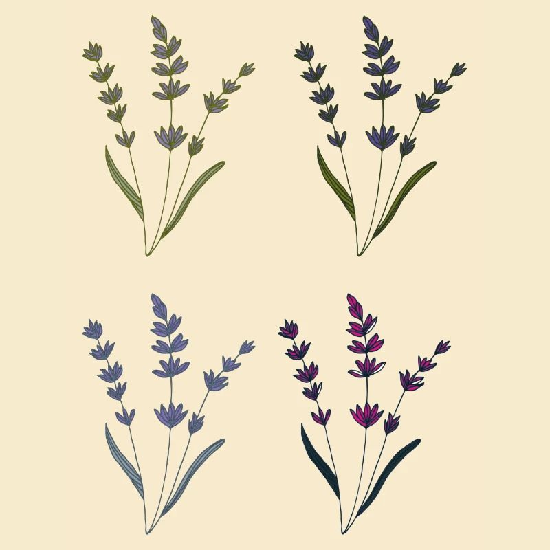 lavender