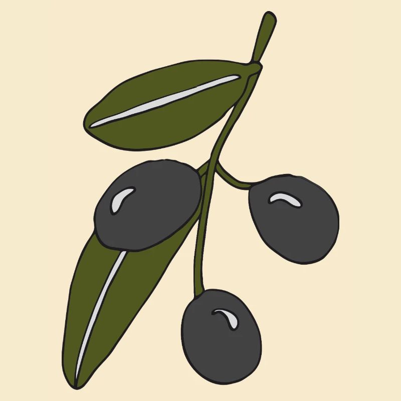 olive branch