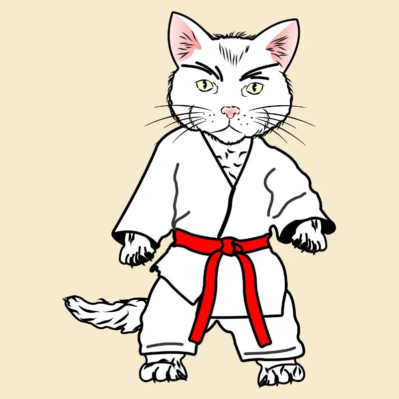 Chat de karaté blanc avec bande orange