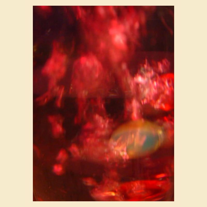 Feu rouge, néon bruyant
