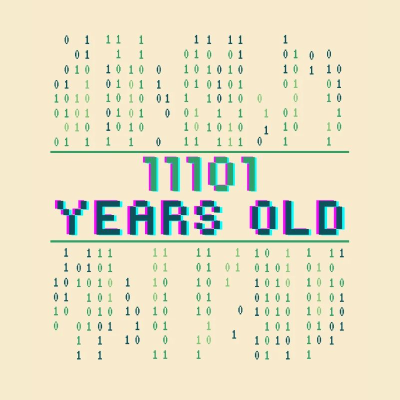 29. Geburtstag 29 Jahre alt Binärcode Coder