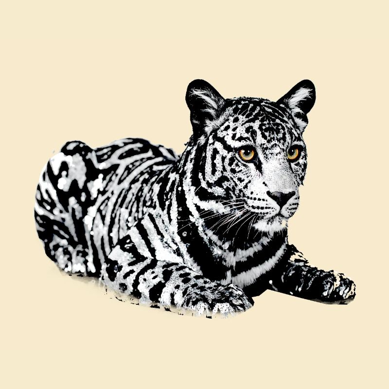 Tiger,leopard,sequins,glitter,black and white