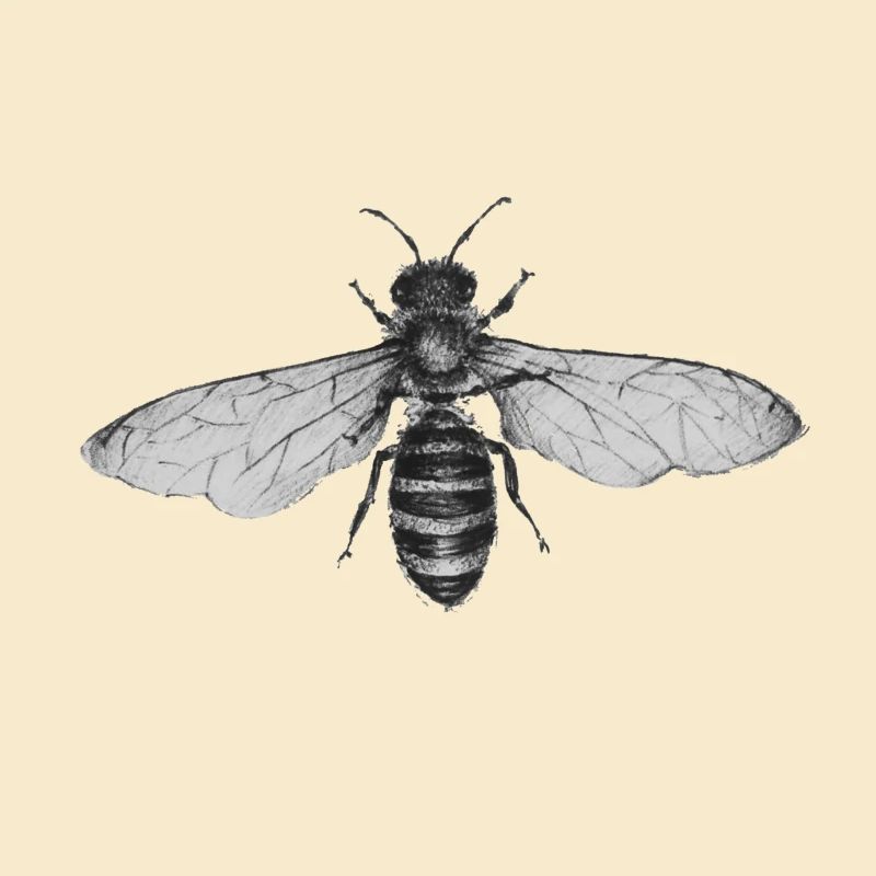 Original Bee Drawing Design